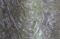 Bellanrigg fibreglass roof work